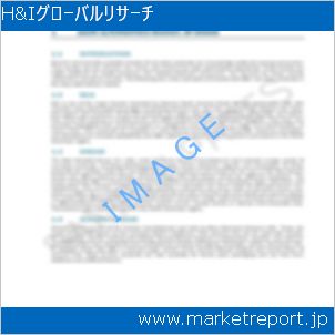 市場と産業調査レポートのイメージ